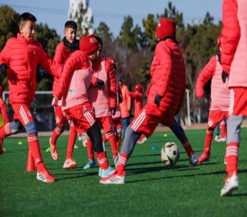 意足协启动,斯帕萊蒂与,那不勒斯协,海星体育直播在线,海星体育直播tv官网,海星体育直播app下载,海星体育直播平台